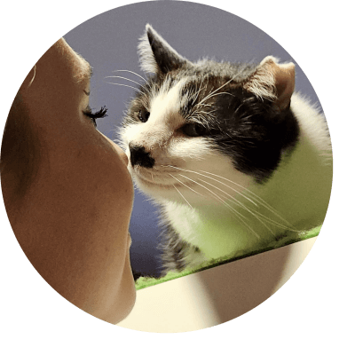 Pawsitive-Training Sofie Lupanow macht Pause